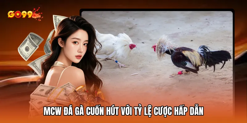 Mcw đá gà cuốn hút với tỷ lệ cược hấp dẫn