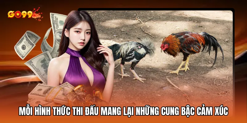 Mỗi hình thức thi đấu mang lại những cung bậc cảm xúc